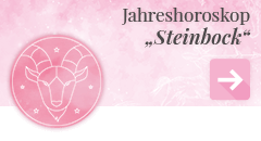 weiter zum Jahreshoroskop 2023 Steinbock