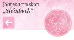 zurück zum Jahreshoroskop 2023 Steinbock