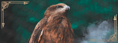 Krafttier Bussard