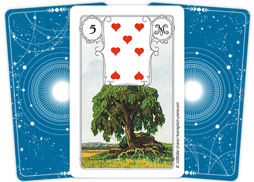 Die Lenormandkarte „Der Baum“